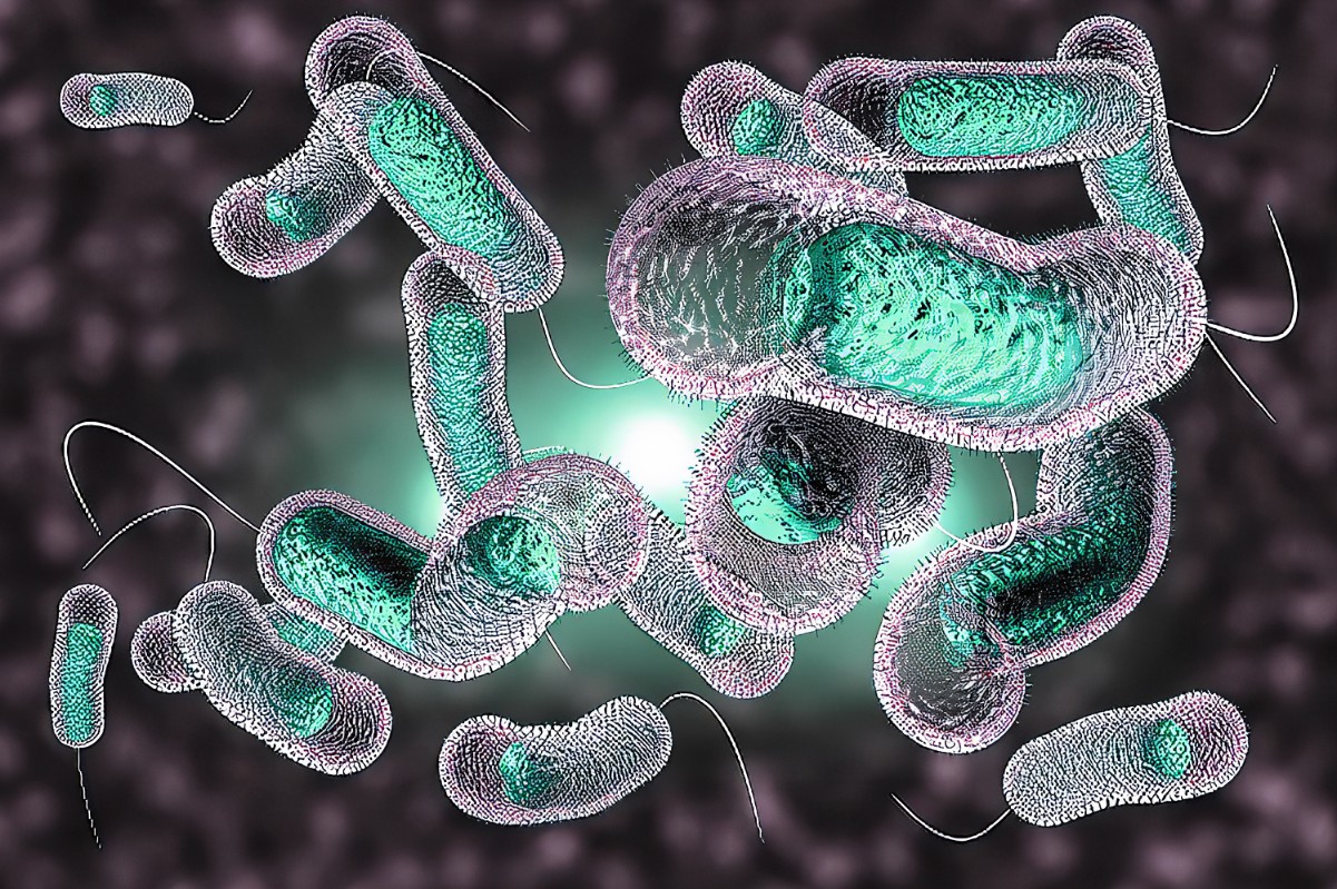 Cholera virus - bing1656664587.jpg